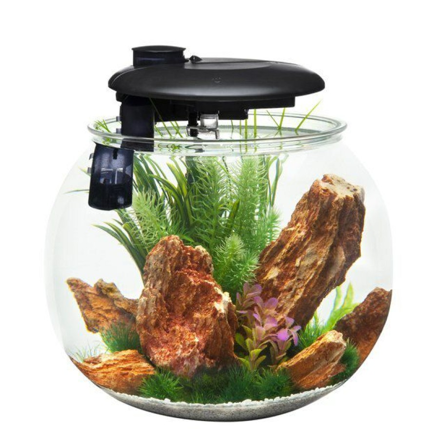 PENN-PLAX Tank-Terr Corner Aquarium Ornament 